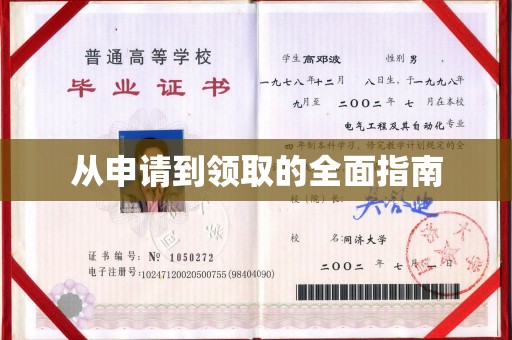阳城从申请到领取的全面指南